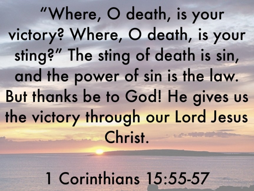 0DE512DF-96DF-4F2C-8BFB-5DF85C02FDA0