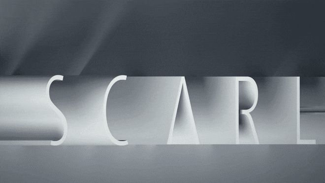 PortlyDiligentAppaloosa-size_restricted