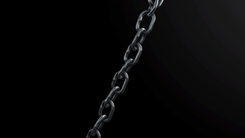 PoorFrayedHammerheadbird-size_restricted